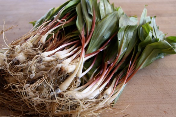 Ramps-sm